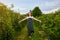 Woman farmer working in fruit garden. Biologist inspector examines blackberry bushes