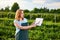 Woman farmer working in a strawberry field. Biologist inspector examines strawberry bushes and shows the level of crop growth usin