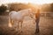 Woman farmer works with horses.