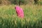 Woman Farming