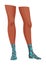 Woman fashion stocking, cartoon icon. Legs in fashionable socks. Elegant female legs. Clothing pieces, garment with