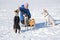 Woman feeding dogs while training some simple commands playing outdoor