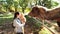 Woman feeding grass to terrestrial animal in zoo landscape