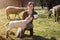 Woman is feeding a lamb with bottle of milk, animal welfare and