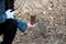 Woman feeding Quokka