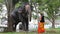 Woman feeds elephant