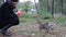 Woman feeds the homeless puppies on the street