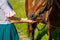 Woman feeds a horse with hands favorite animal