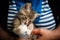 Woman feeds little kitten from a bottle