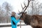 Woman feeds Maral A large Siberian deer with big horns in winter