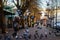 Woman feeds pigeon birds on the street