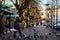 Woman feeds pigeon birds on the street