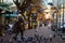 Woman feeds pigeon birds on the street