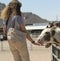 A Woman Feeds Sicilian Donkeys, Rooster Cogburn Ostrich Ranch, P