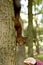 Woman feeds a squirrel in park