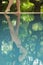 Woman Feeling The Water Temperature By Poolside