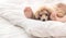 Woman feet on the bed with poodle dog.