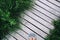 Woman feet in casual shoes on the wooden pier background with gr