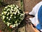 Woman feet, flowers and love.