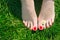 Woman feet with pedicure and flower on green grass