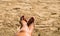 Woman feet in the sand with red painted nails