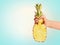 Woman female hand holding half of pineapple at blue background