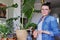 Woman fertilizes monstera plant in pot with mineral fertilizer in sticks at home