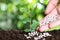 Woman fertilizing plant in soil against blurred background, closeup. Gardening time