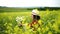 Woman field flowers. Happy woman resting in blossom spring field with field flowers on nature looking happy smiling