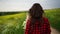 Woman field flowers. Rear view of woman walking in slow motion through a field. A woman is walking alone in a meadow