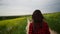 Woman field flowers. Rear view of woman walking in slow motion through a field. A woman is walking alone in a meadow