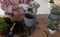 Woman filling flowerpot with drainage at table indoors, closeup. Houseplant care