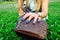 Woman fingers with blue manicure on clutch with green grass