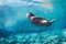 Woman floating in Natural Pool