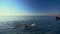 Woman floating on the sea snorkelling over a reef