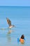 Woman floating in tropical water, watching a brown pelican landing