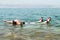 Woman floating in water of dead sea