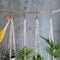Woman florist hand holding macrame plant hanger with houseplant over grey wall background at home