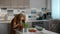 Woman food photographer take picture of food vegetables salad ingredients for recipe Rbbro.