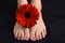 Woman foot with red gerbera