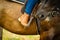 Woman foot in stirrup on horse saddle