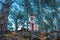 Woman in a forest with doing yoga with trees in the background.