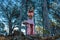 Woman in a forest with doing yoga with trees in the background.