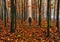 Woman in the forest. man walks in a foggy forest