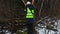 Woman forestry employee checking broken trees