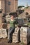 woman in foro romano, Rom, Italy