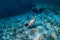 Woman free diver swim underwater in the tropical ocean