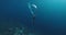 Woman freediver dive and swimming on deep ocean. Freediving in blue ocean