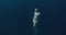Woman freediver with fins swimming on deep ocean. Freediving in clear blue ocean