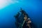 Woman freediver swim with fins at wreck ship. Freediving in wreck